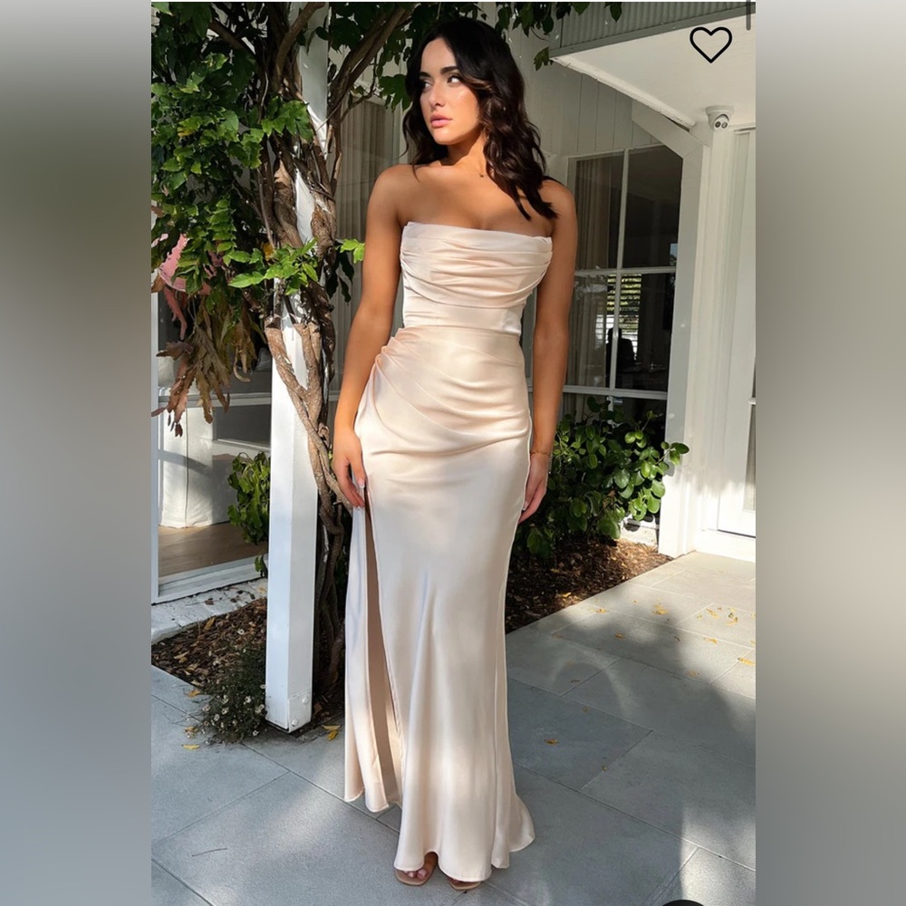 Brand new with tags, champagne, that’s so fetch dress